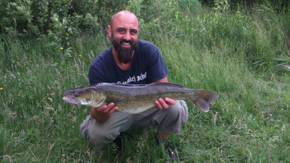 Zander 66cm, 3,3kg