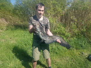 Waller 98cm, 8,5kg