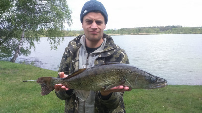 Zander 66cm, 2,6kg