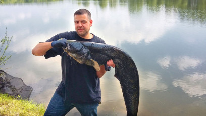 Wels 133cm, 14,7kg