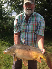 Karpfen 80cm, 11kg