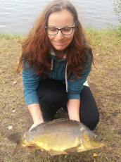 Karpfen 57cm, 4,2kg