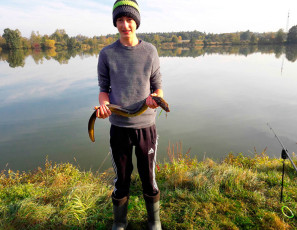 Aal 80cm, 1,2kg