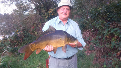 Karpfen 60cm, 4,2kg