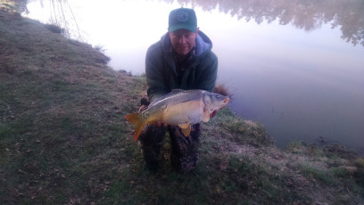 Karpfen 60cm, 4,2kg