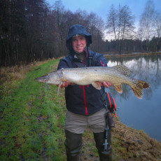 Hecht 80cm, 3455g