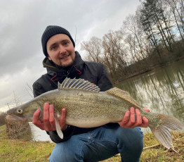 Zander 74cm, 3500g