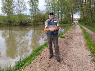 Karpfen 62cm, 3,7kg