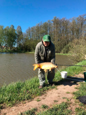 Karpfen 72cm, 7,9 kg