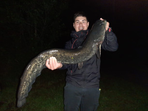 Waller 1,10m 10kg