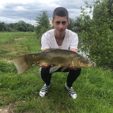 Schleie 50cm, 1000g