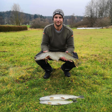 Hechte 72/58/47cm, 3850/1700/1100g