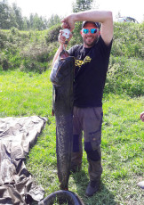 Waller 1,50m, 18,5 kg