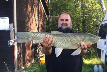 Graskarpfen 92cm, 8,5kg