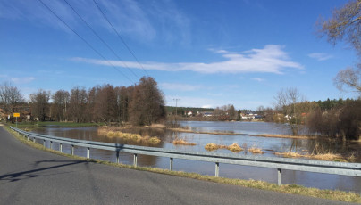 2019 - die Pegnitz bei Hochwasser