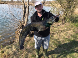 Waller 117cm, 10,4kg