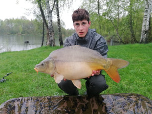 Karpfen 75cm, 8kg
