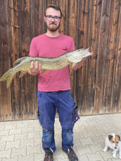 Hecht 83cm, 3,8kg