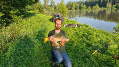 Karpfen 58cm, 2,5 kg