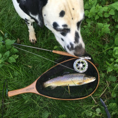 Bachforelle 40cm, 700g
