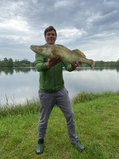 Zander 84cm