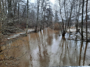 Hochwasser Rauhenstein