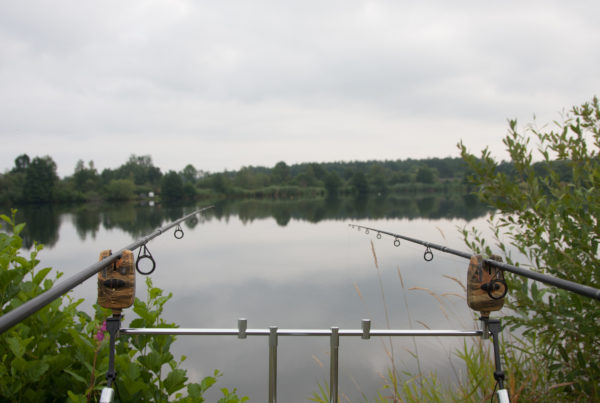 Fische sind genug drin im Paffenweiher aber beißen sie auch an?