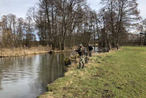 Hechthegefischen an der Pegnitz